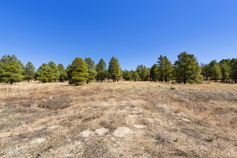 9-web-or-mls-JC0A2914