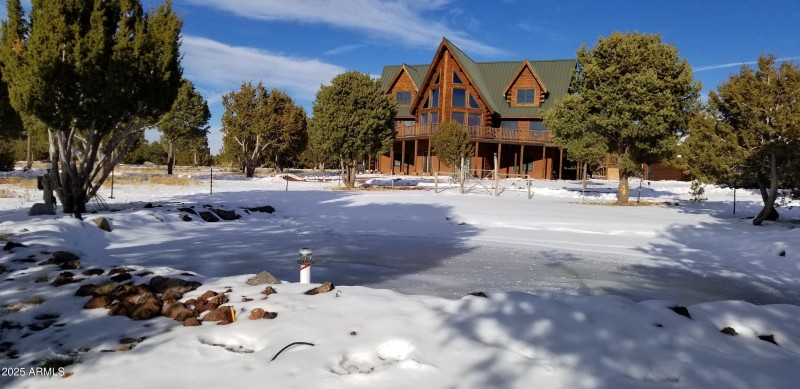 Pond in Winter