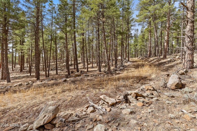 2851 Ben Brooks Lot 2-19