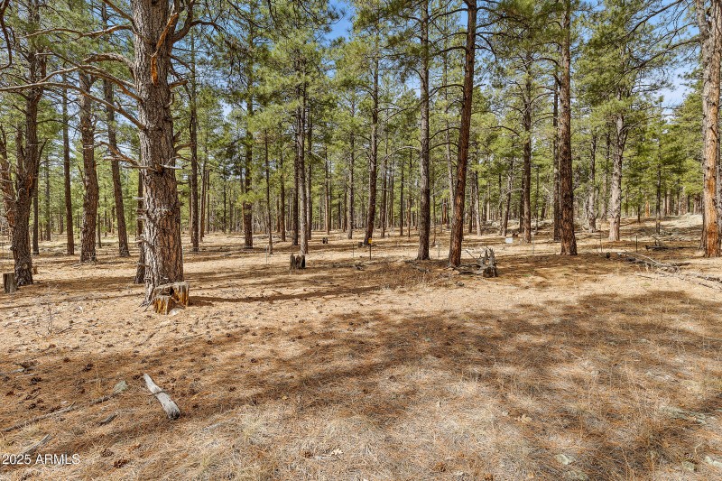 2851 Ben Brooks Lot 2-20