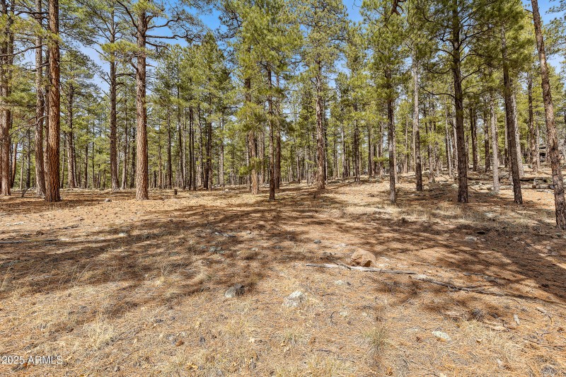 2851 Ben Brooks Lot 2-24