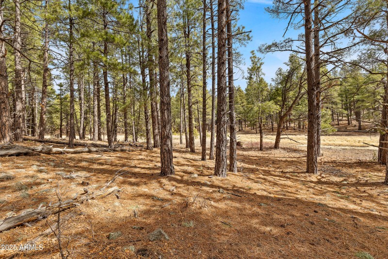 2851 Ben Brooks Lot 2-25