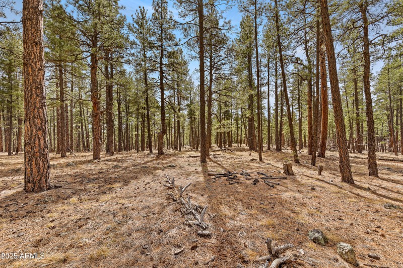 2851 Ben Brooks Lot 2-30