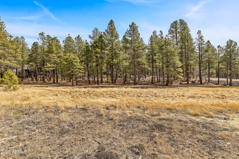 2851 Ben Brooks Lot 2-31