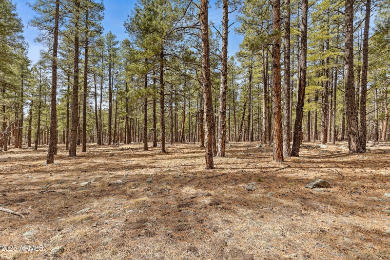 2851 Ben Brooks Lot 2-22