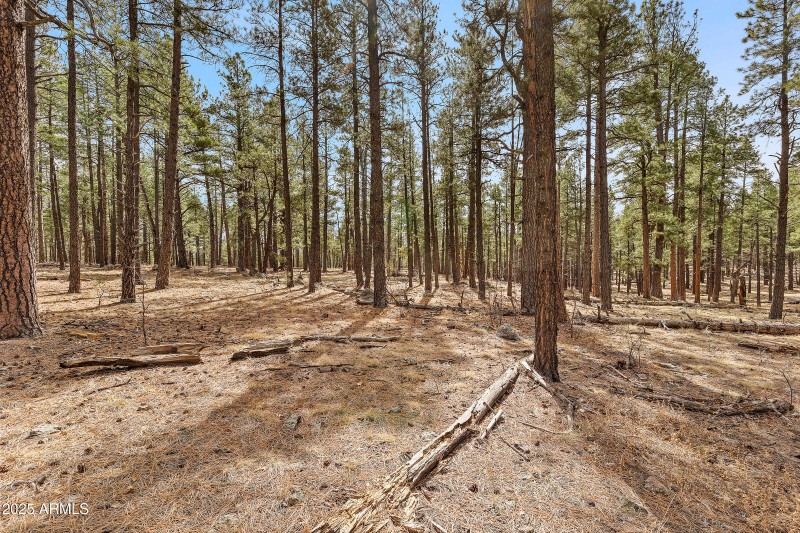 2851 Ben Brooks Lot 2-29