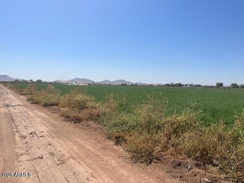 20250204192707139696000000-o