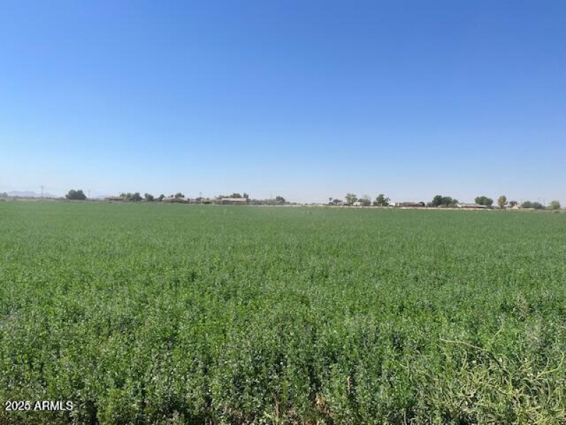 20250204192707249257000000-o