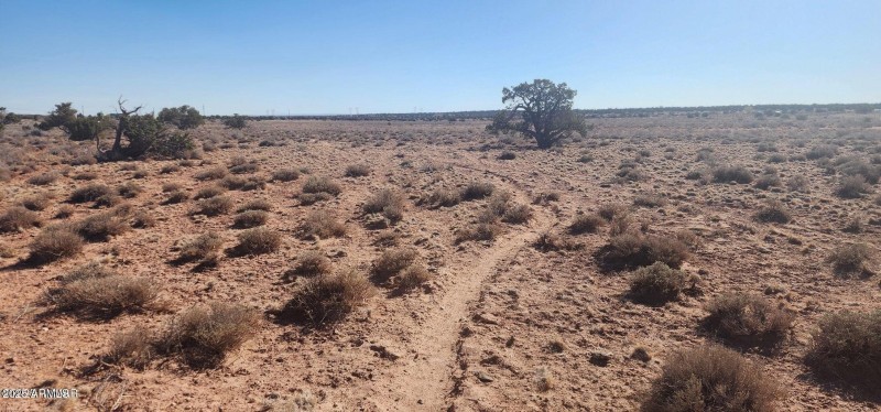 20250427210848985422000000-o