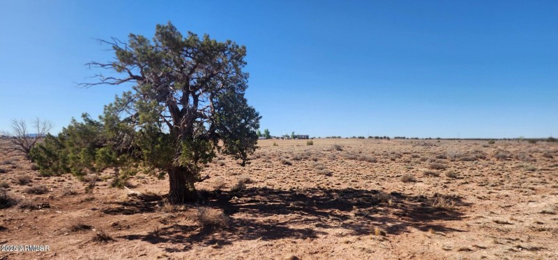 20250427210852264288000000-o