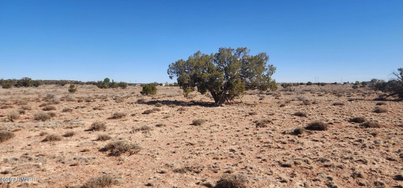 20250427210855914121000000-o