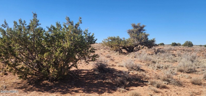 20250427210930519104000000-o