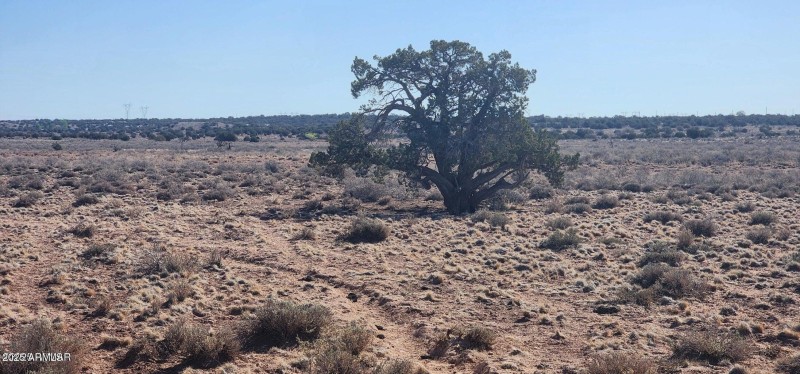 20250427211015277997000000-o