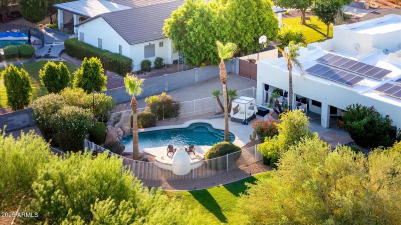 Palm Trees & Pure Relaxation