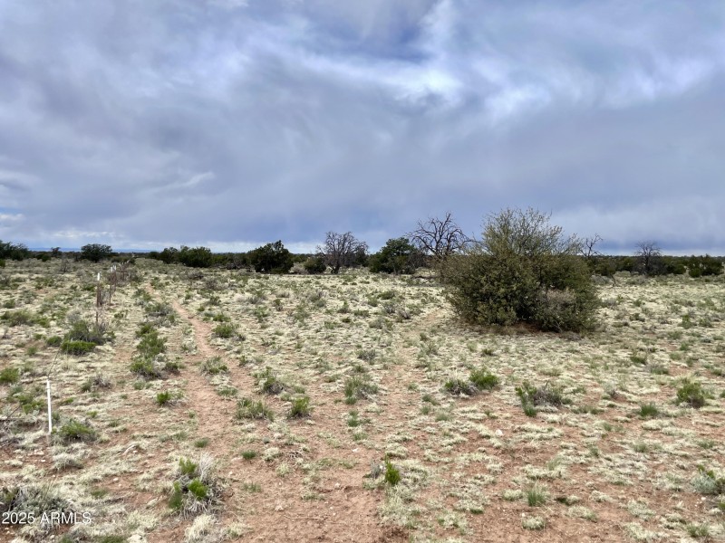 3998RedButte 17