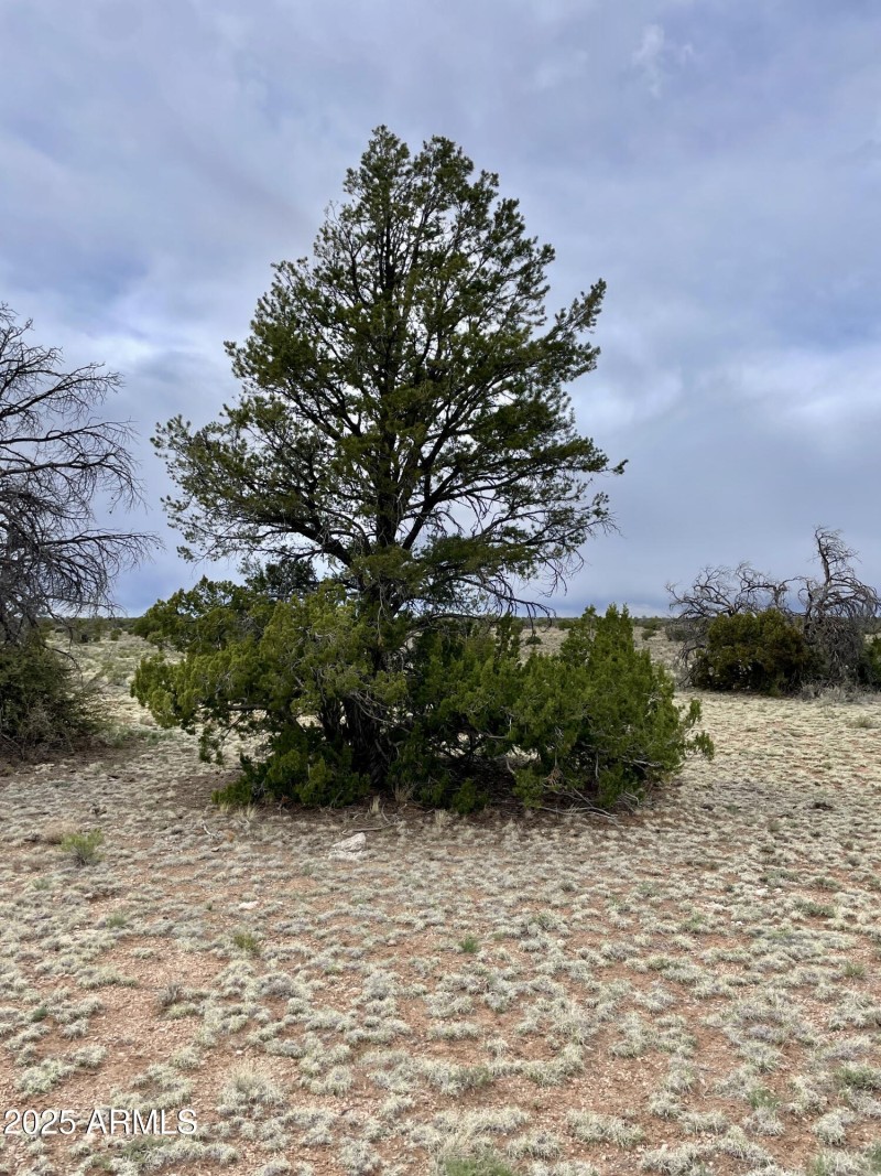 3998RedButte 24