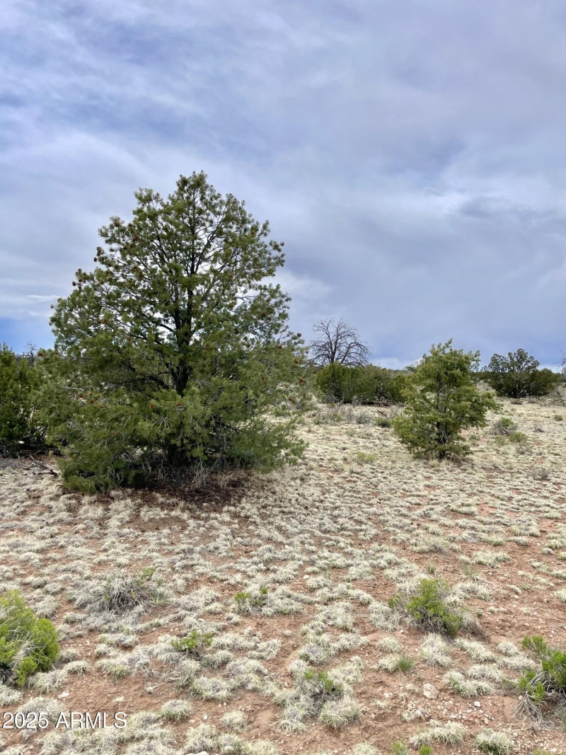 3998RedButte 26