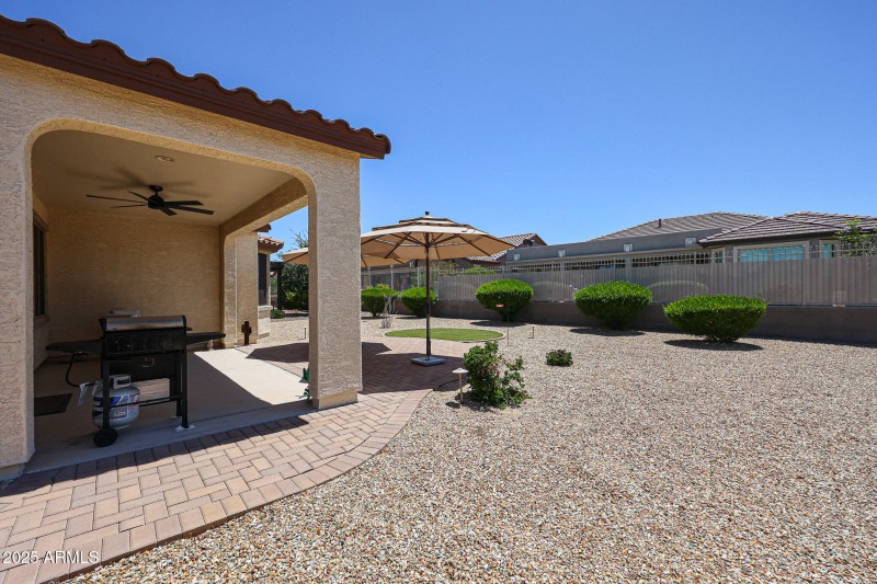 Large Backyard