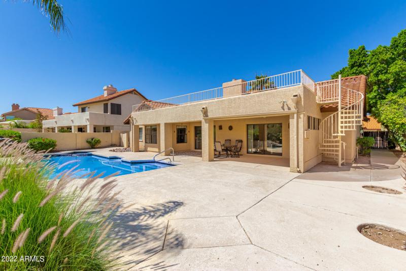 back yard saddleback