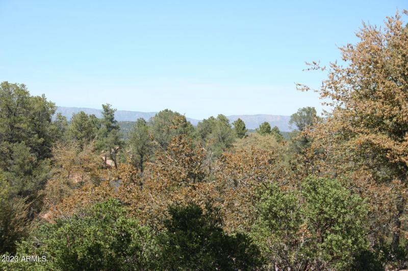 A260E4B4-FFEE-4339-9EDF-D4C4DE66E749