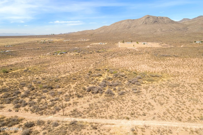 Photo May 01 2025, 2 42 20 PM