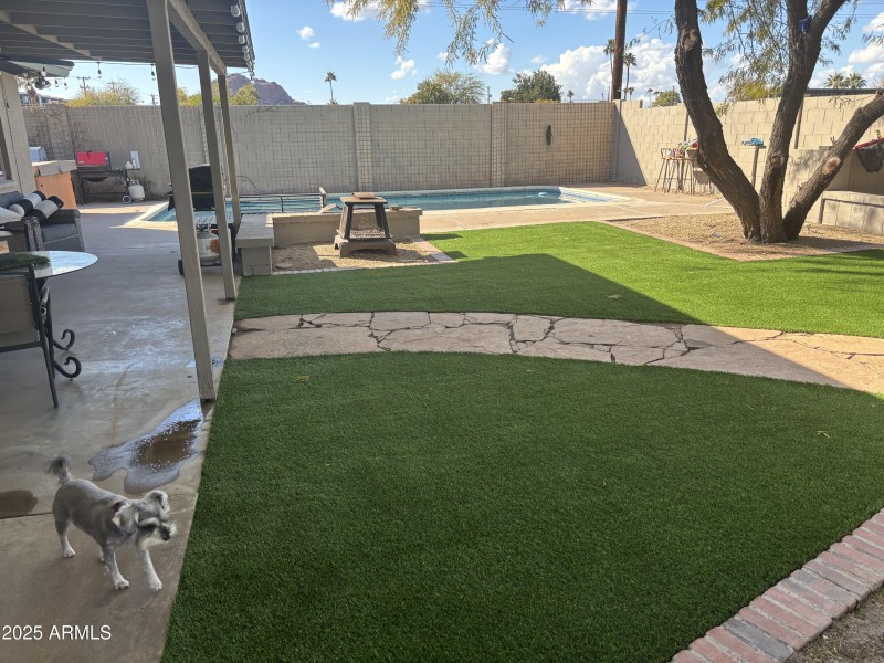 Granada yardIMG_1687 2