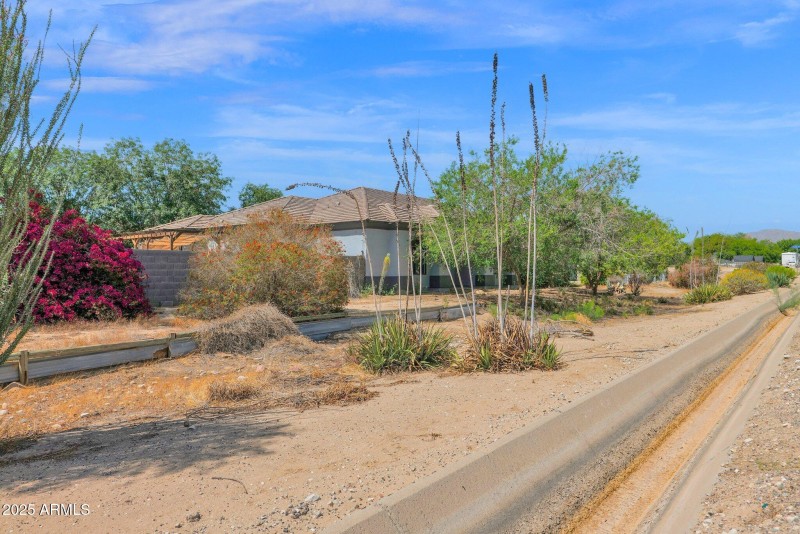 43-web-or-mls-P1199968