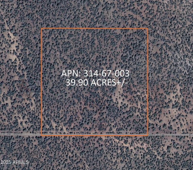 8531 N High Mountain RD