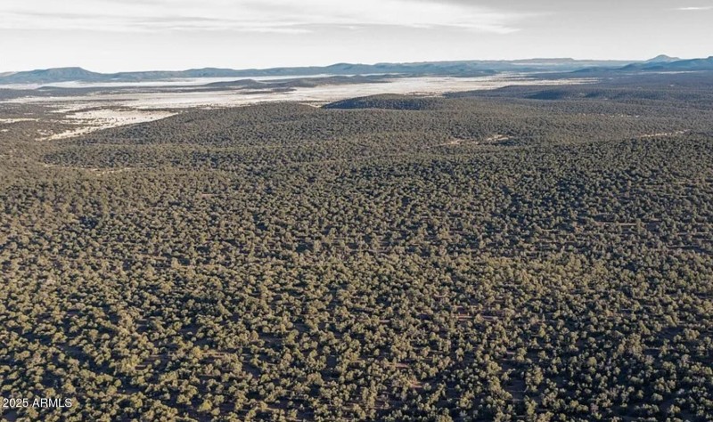 8711 N High Mountain RD