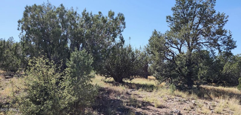 8711 N High Mountain RD