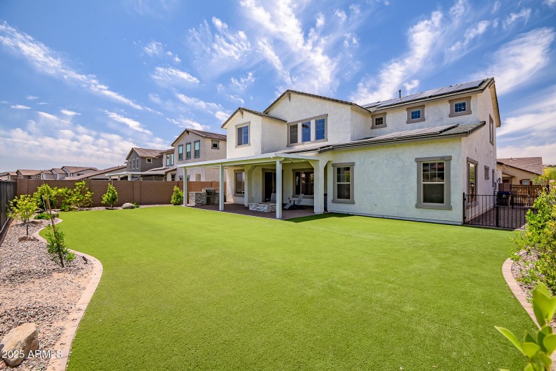 OPEN BACKYARD