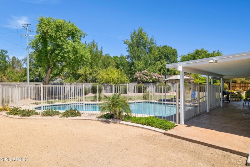 Pool/Backyard