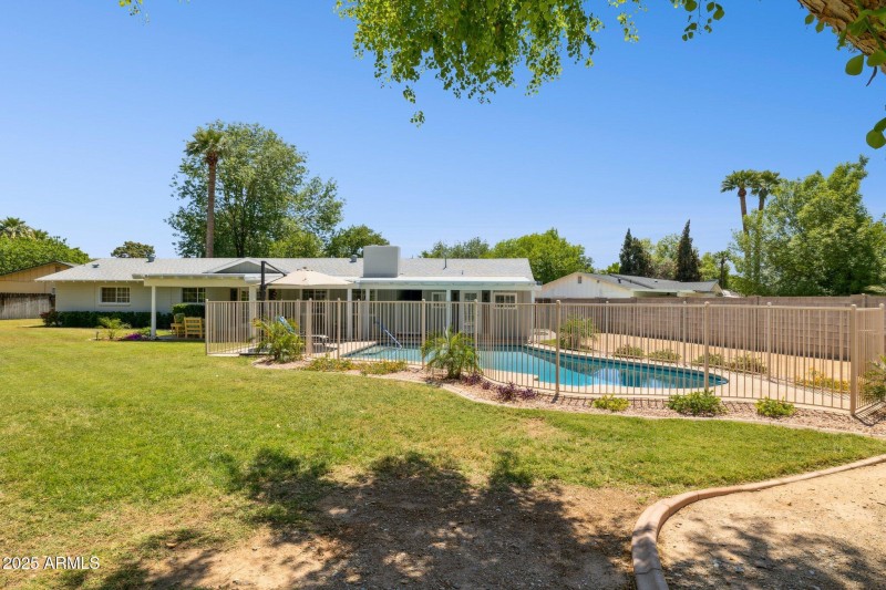 Pool/Backyard