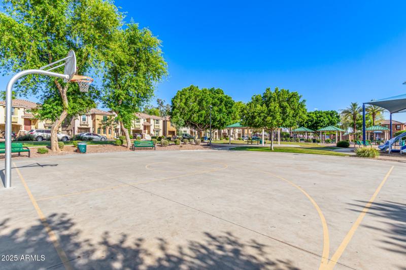 Basketball Court