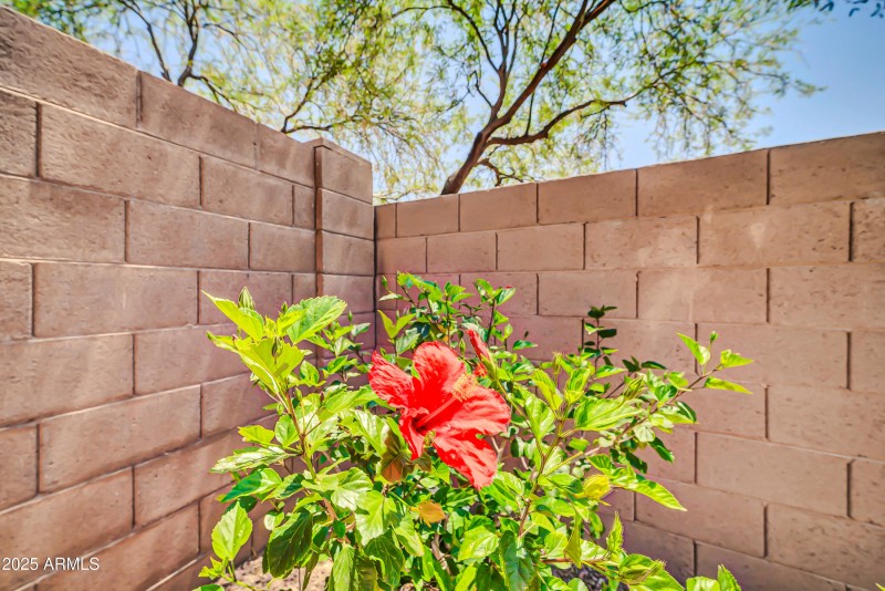 17429 W Red Bird Rd-34