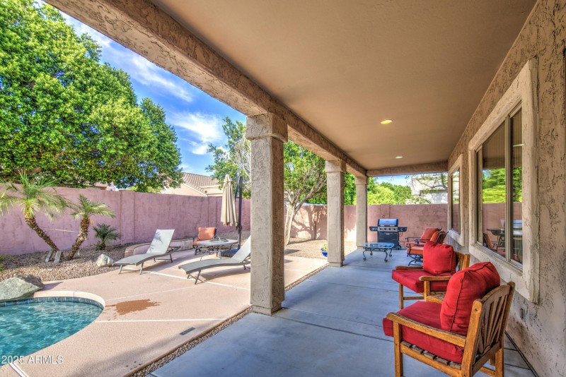 J Backyard 1