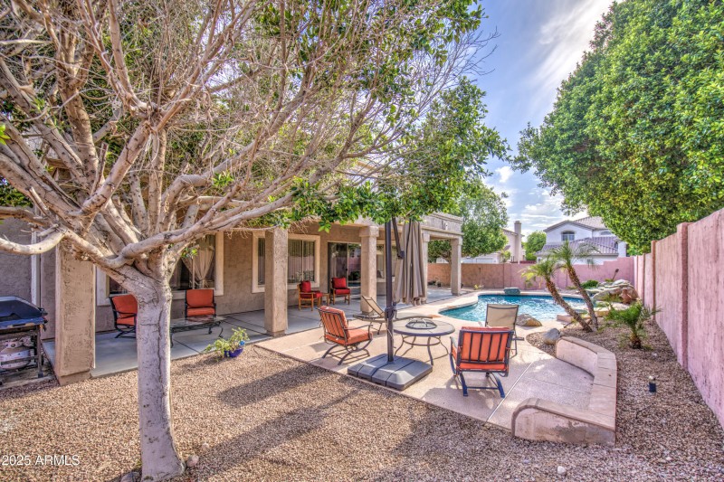 J Backyard 3