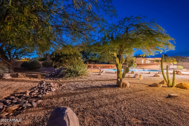 Twilight Backyard