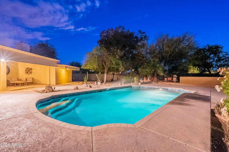 Twilight Backyard