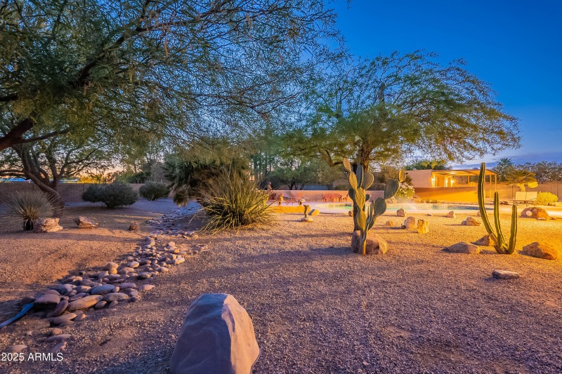 Twilight Backyard