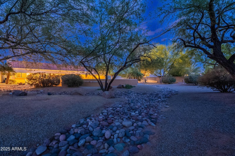 Twilight Backyard