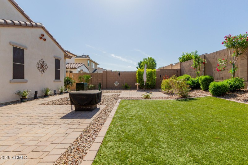 Beautiful backyard
