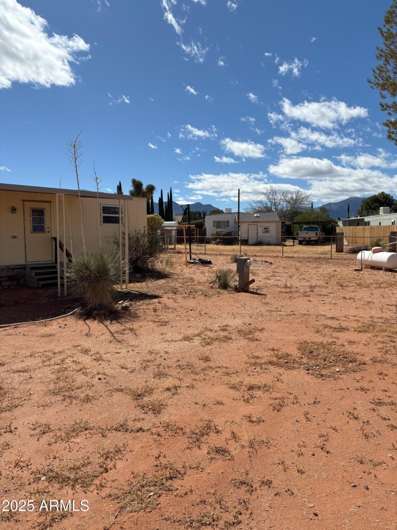 back yard