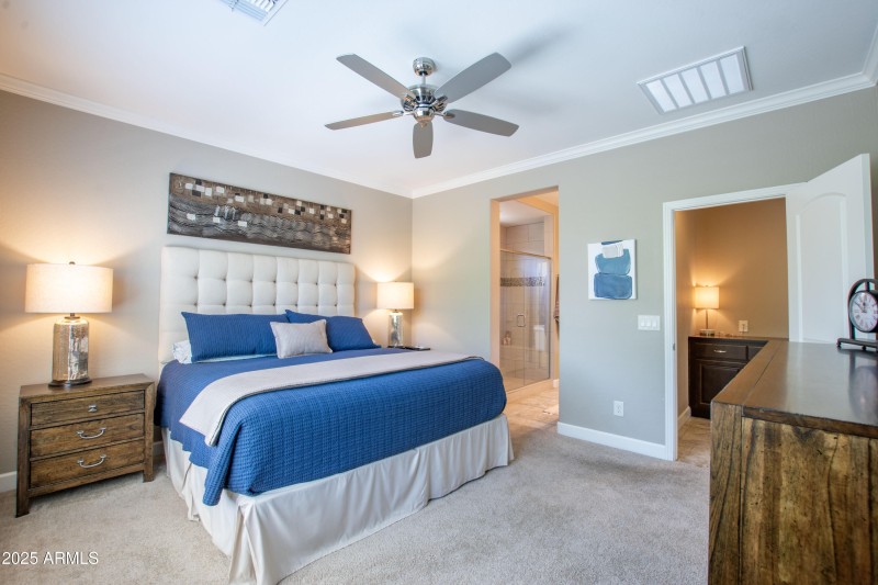 PrimarySuite2