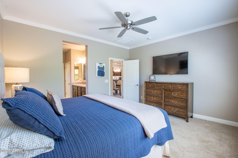 PrimarySuite3