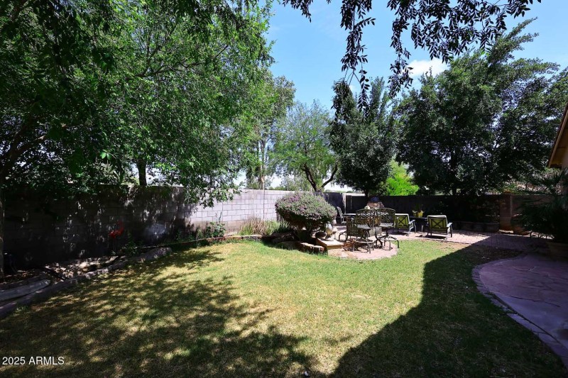 Backyard2