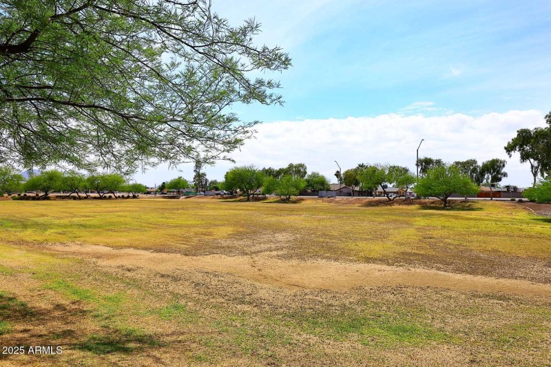 Community Park2