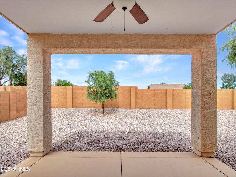10-Backyard (1)