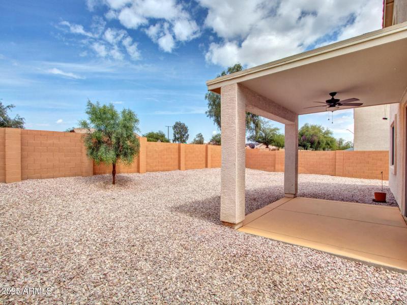 10-Backyard (2)