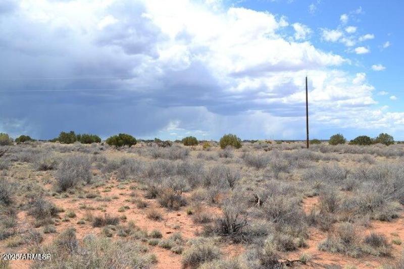 20250502203950010715000000-o